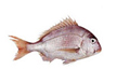 Рыба-символ