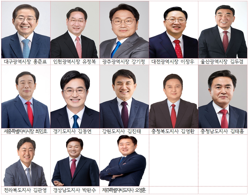 한국 지방선거 결과, NEAR 13개 회원단체장 신임 선출